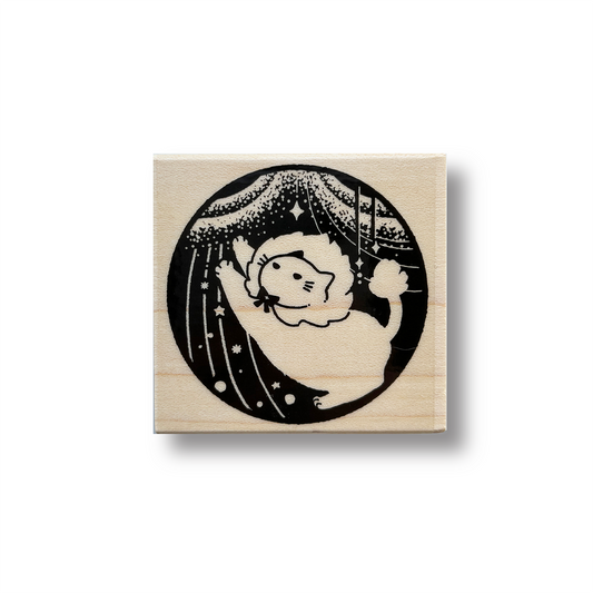 Zodiac Cat Rubber Stamp - I'm a Star (LEO)